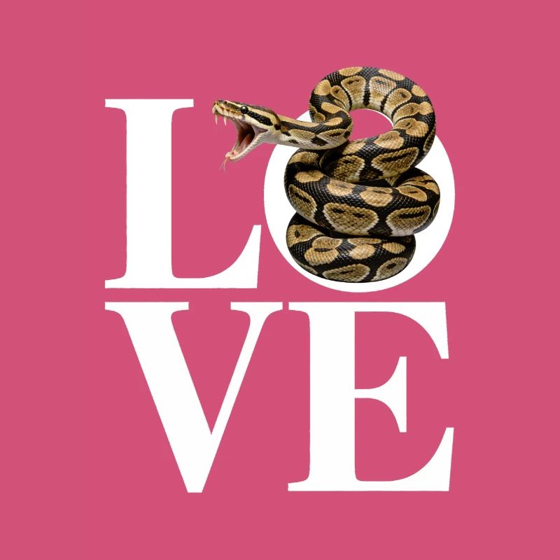 King Python Snakes LOVE Terrarium Python