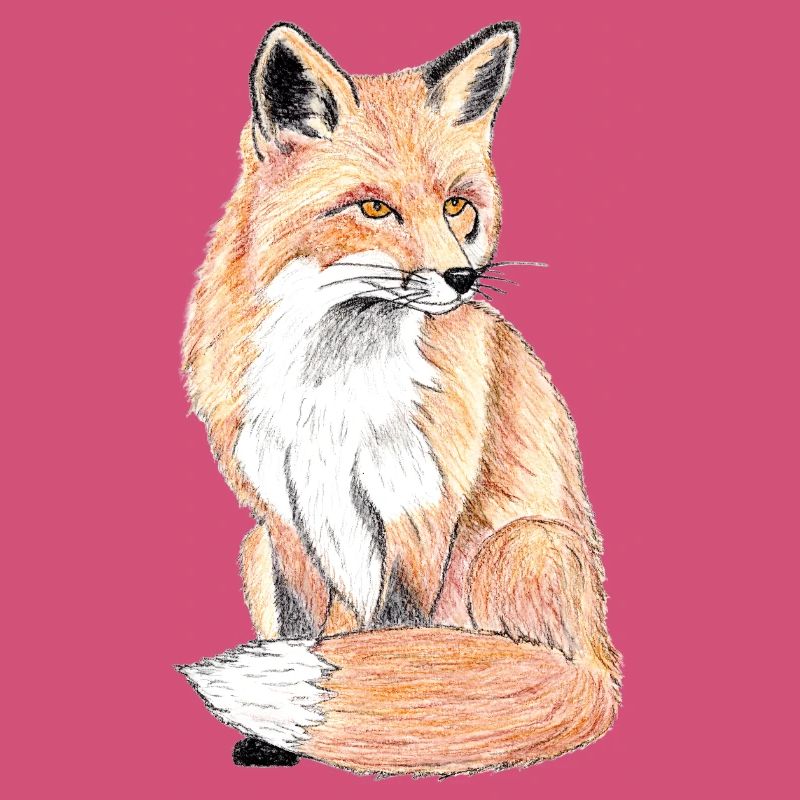 Kleiner Waldfuchs - ein sanfter Begleiter