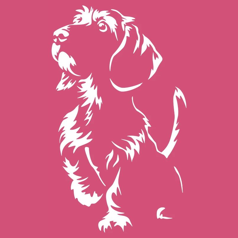 Dachshund "Black Edition"