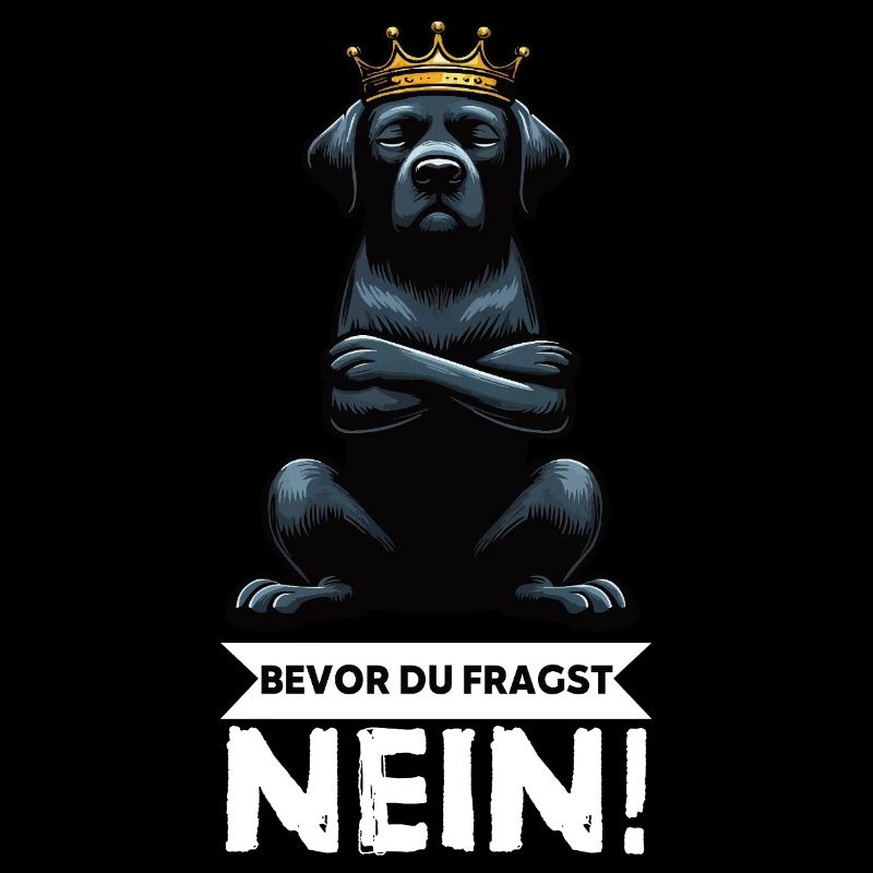 Bevor Du Fragst Nein Labrador Labradorbesitzer 