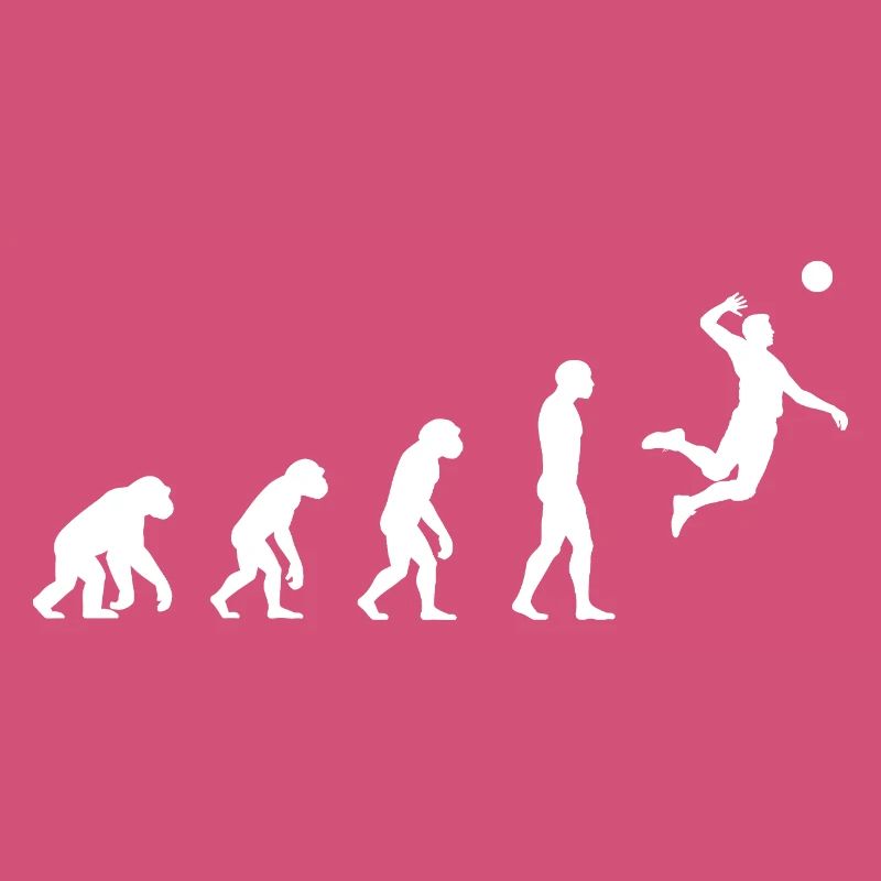 Evolution Volleyball