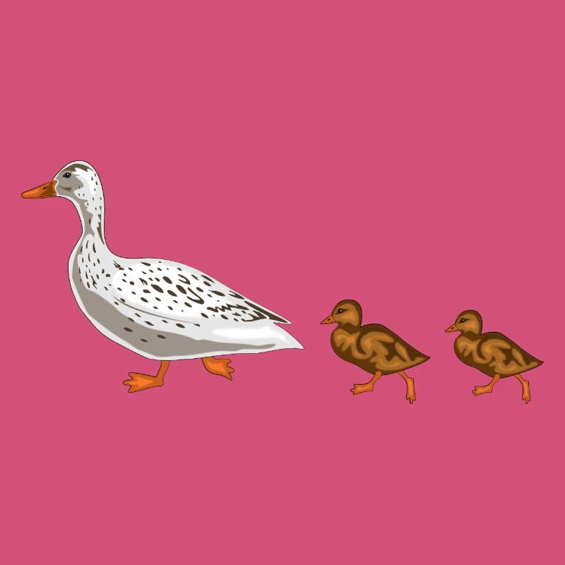 canard