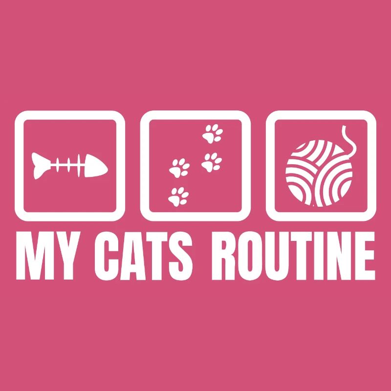 La routine de mon chat