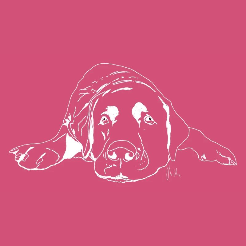 Labrador