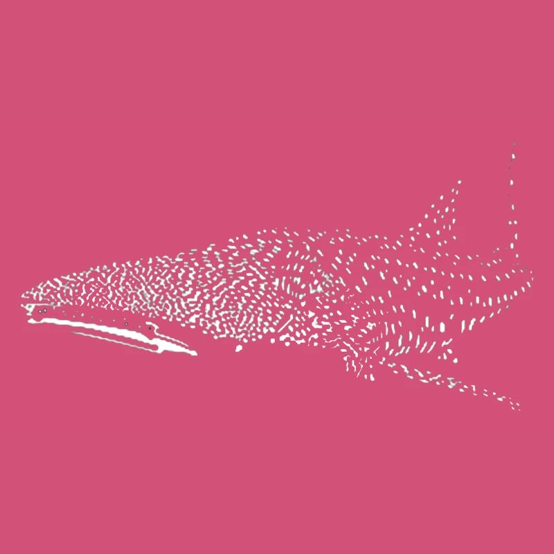 requin-baleine