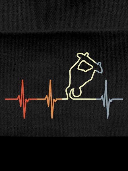 Cardiogramme du Skateboarder