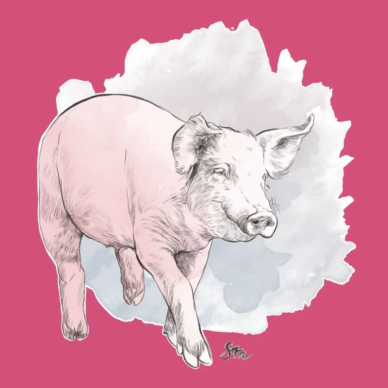 Cochon mignon devant une masse colorée