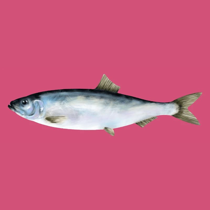 herring
