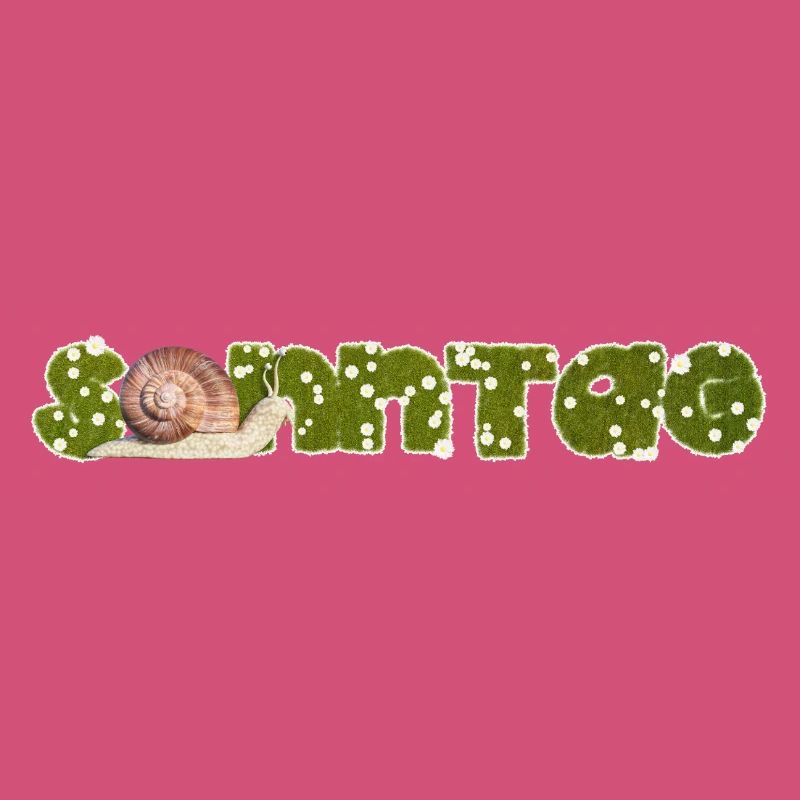 Escargot du dimanche