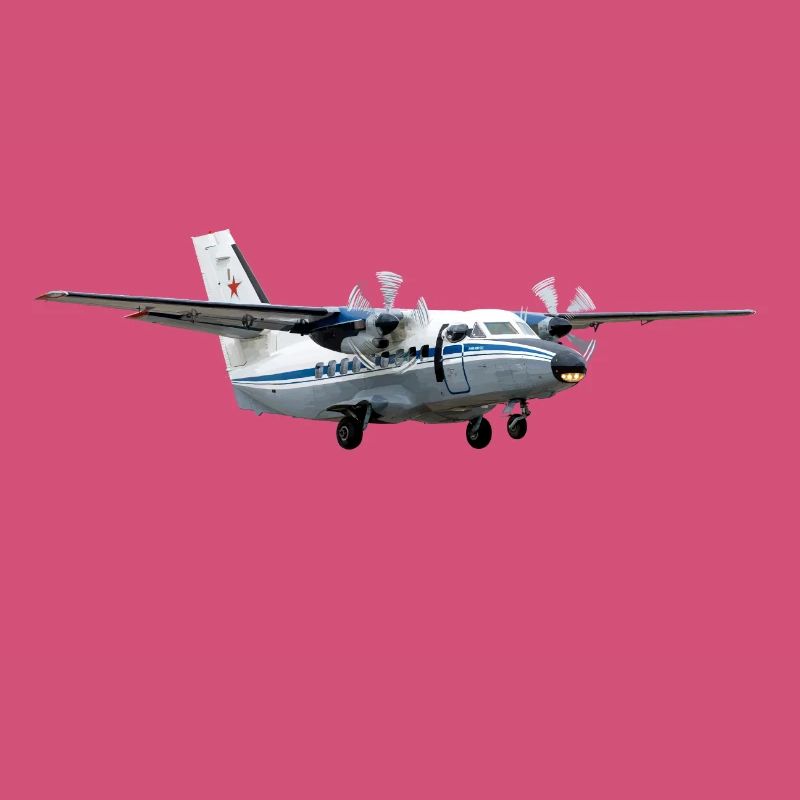 L-410