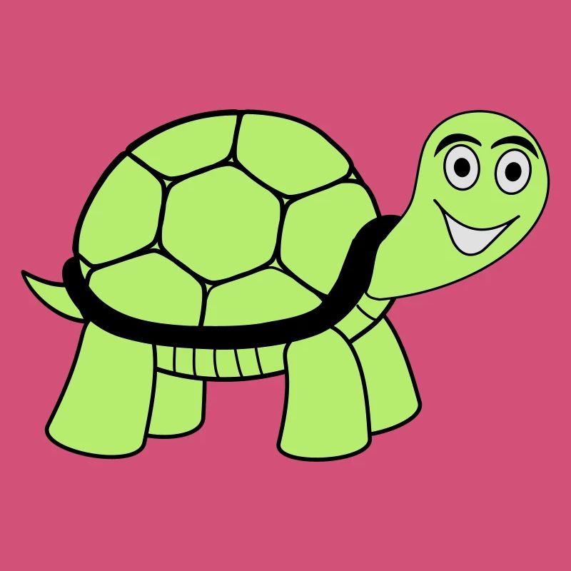 tortue