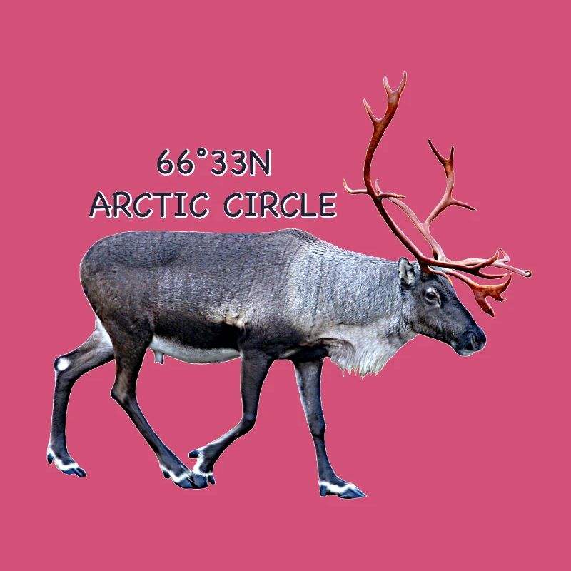 Arctic Circle