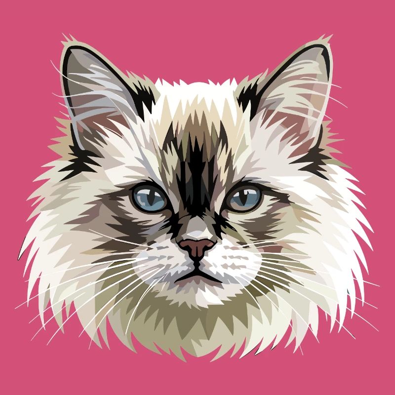 Chat Birman Chat Birman Sacré Chat Birman Mignons Chats Birman