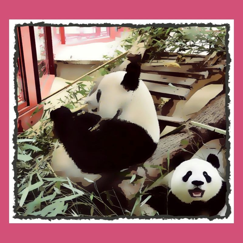 Mode Panda activé