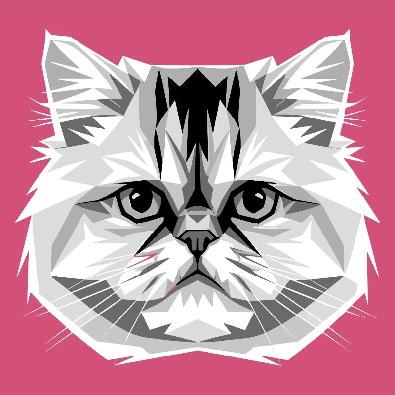 Chat perse Chat persan Chat persan Chat perse Chats mignons