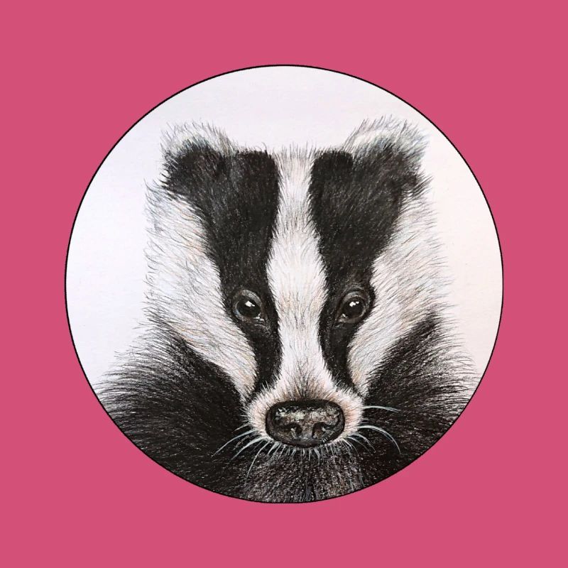 Dachs /Badger