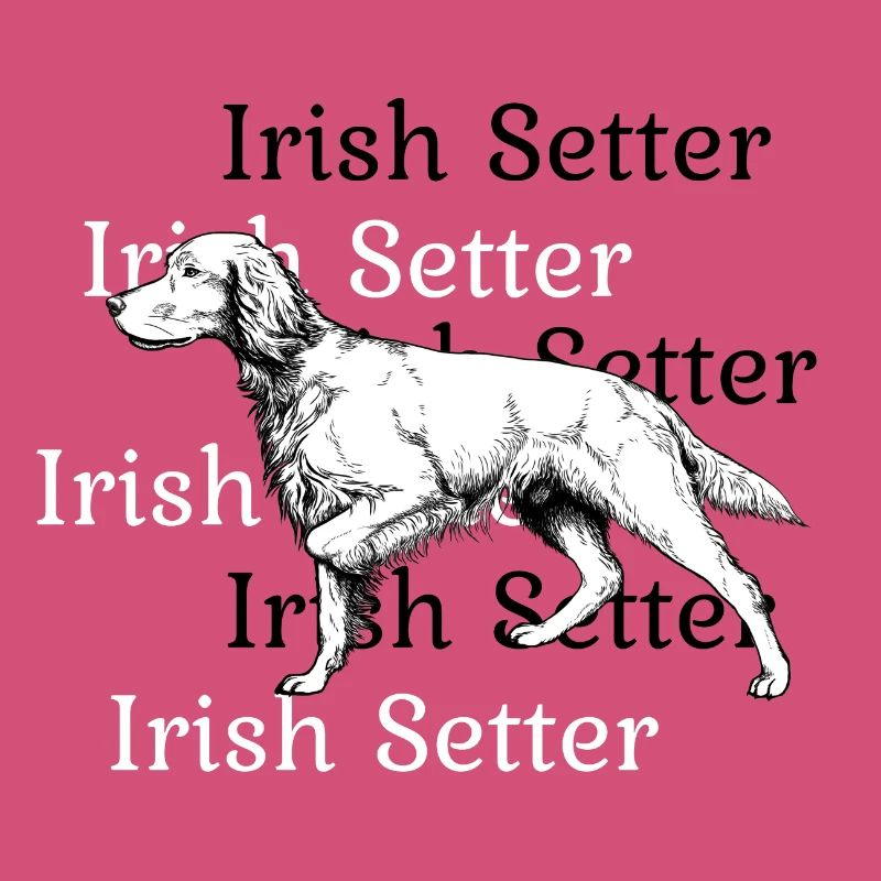 Irish Setter vorstehend