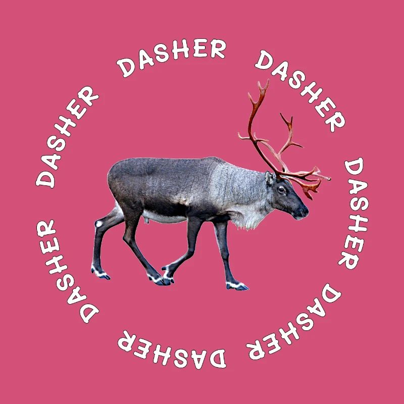 DASHER