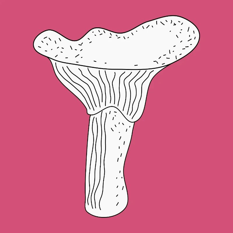 Girolles Champignons