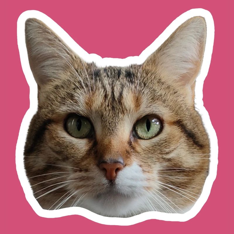 Sticker Missty