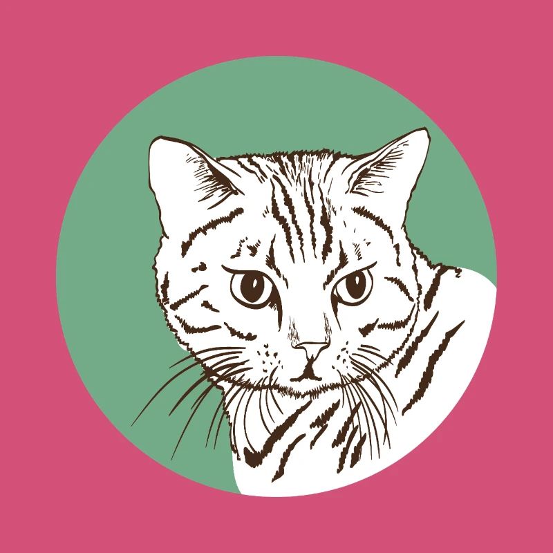 Katze