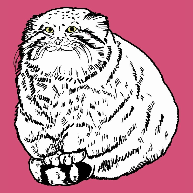 Gros chat