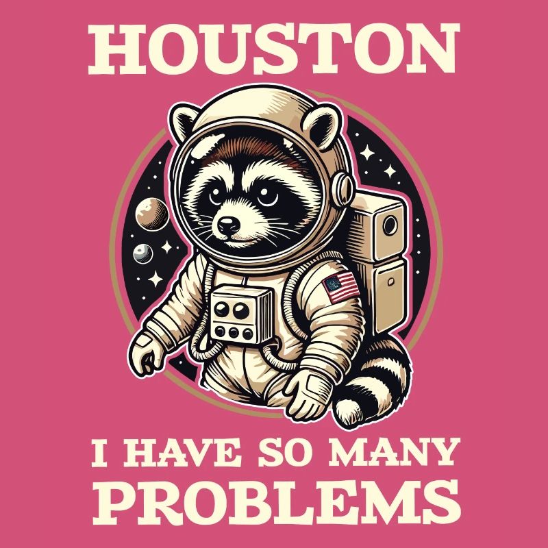 Houston, I have so many problems raccoon