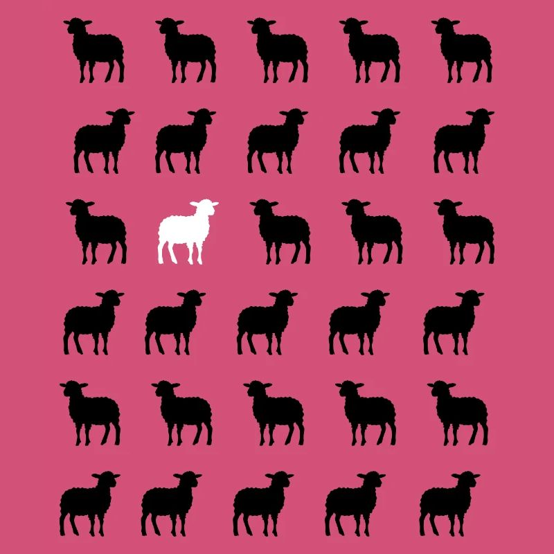 Black and White Sheep