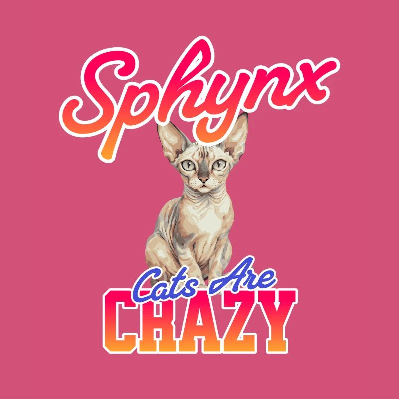 Sphynx Chat Drôle