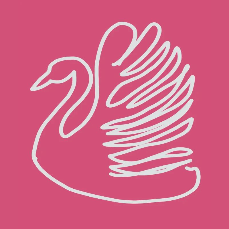 cygne