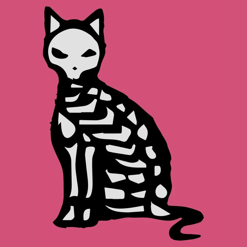 Le squelette et les os d'un chat