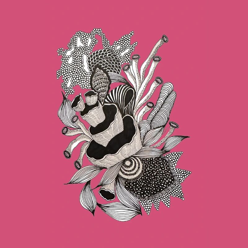 Illustration monochrome de fleurs de panda