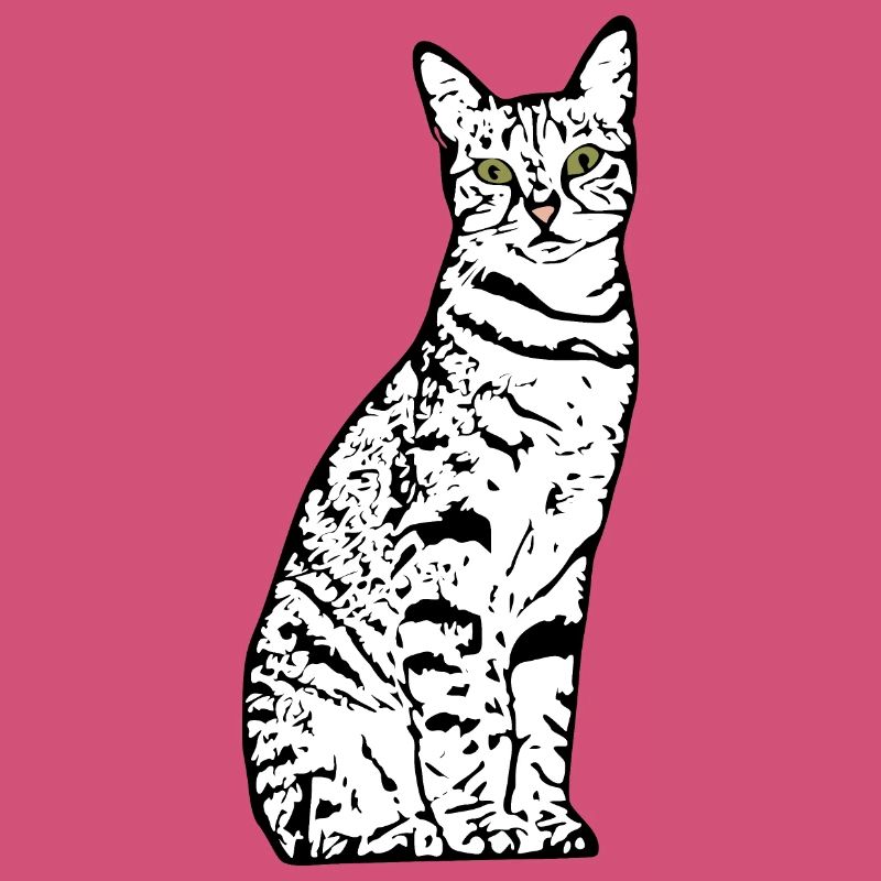 Chat blanc Chat Chat blanc Cadeau