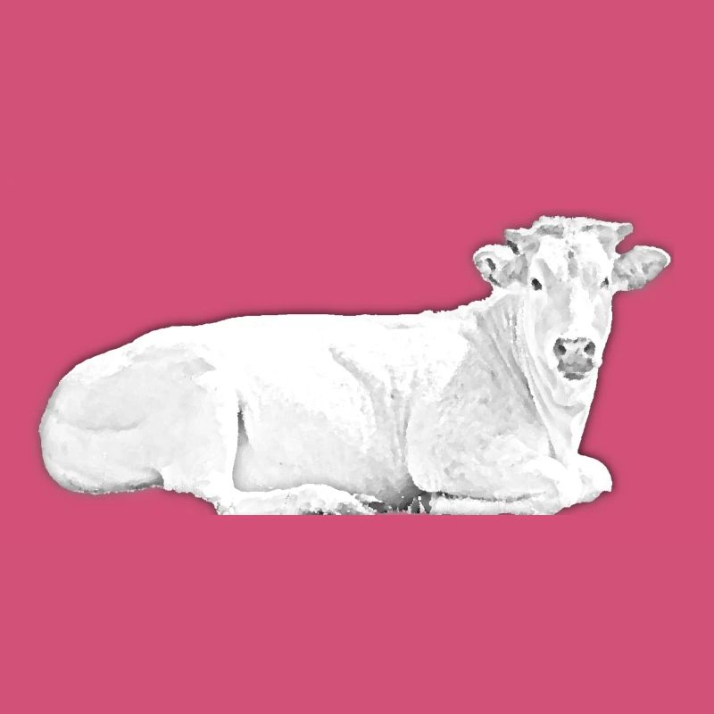 Vache