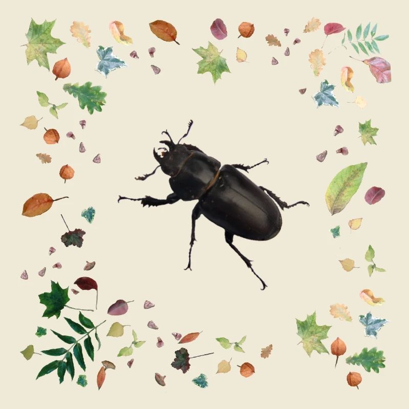 Hirschkäfer mit Herbstlaub
