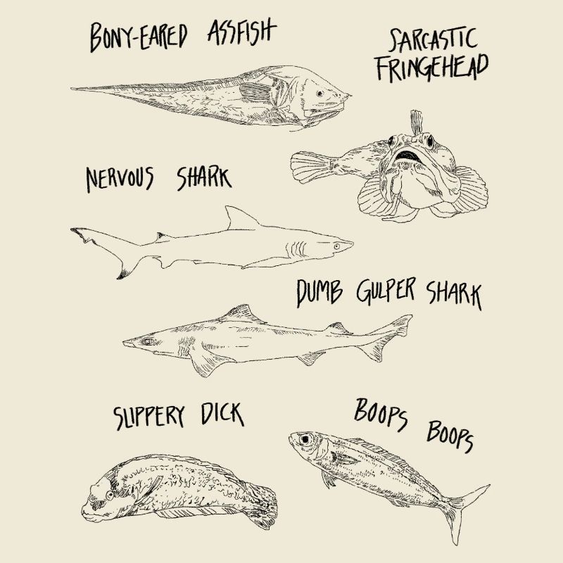 FUNNY FISH