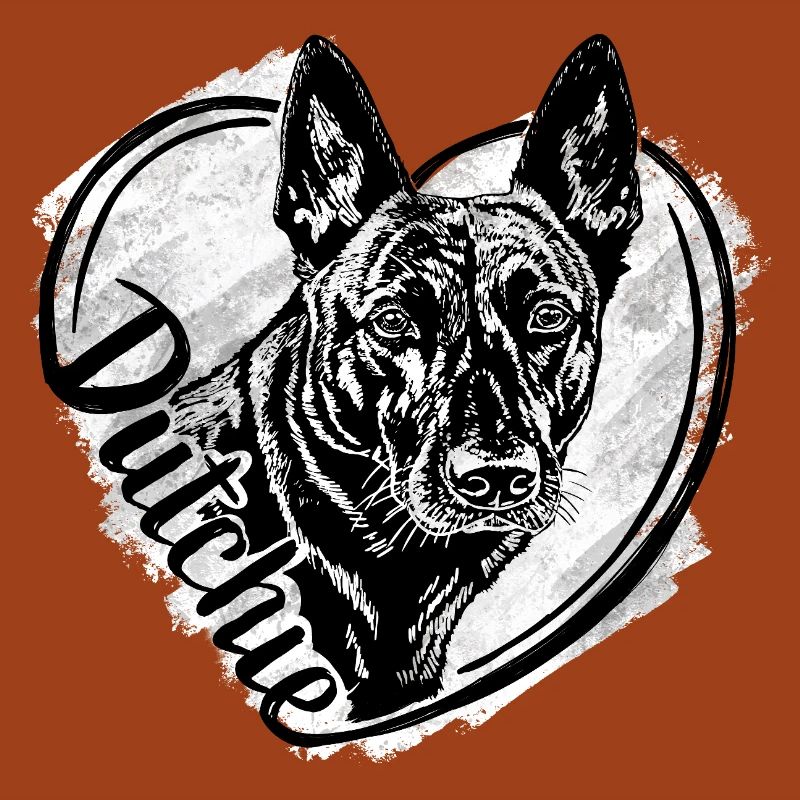 Dutch Shepherd – Dutchie