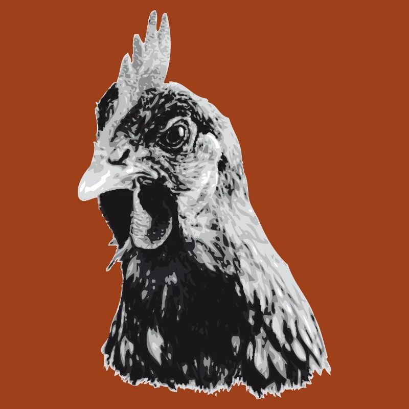 Fans de poulet - Coq - Coq - Poulet fleur - Bio