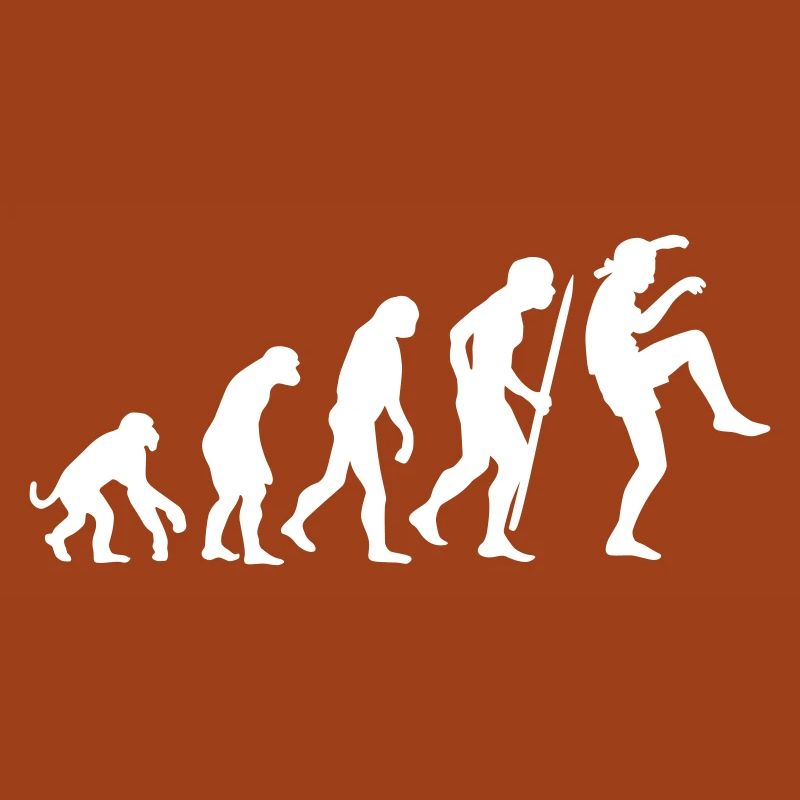 Funny Evolution Karate Vintage 80s Crane Kick