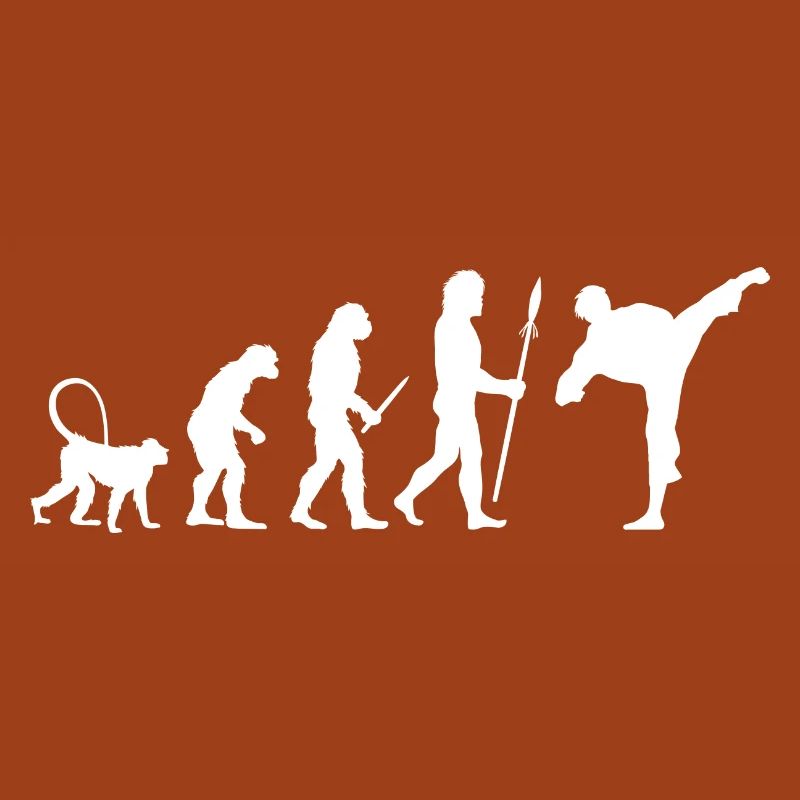 Karate Evolution