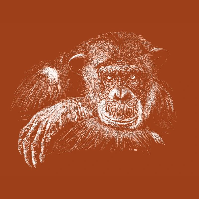 monkey