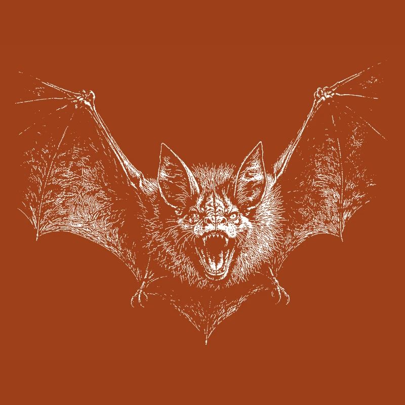 Fledermaus