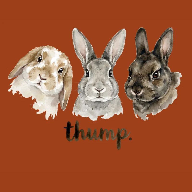 Fun rabbit knocking for rabbit lovers