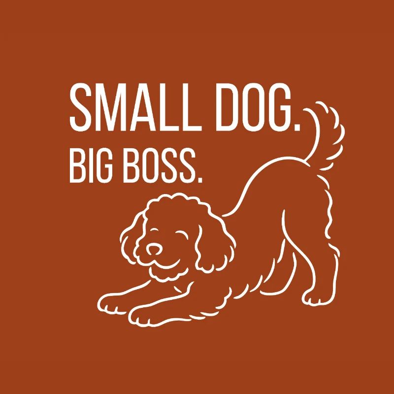 Zwergpudel, Malti-poo oder Königspudel 