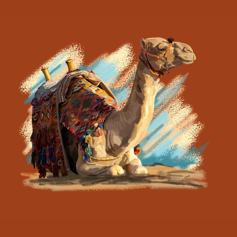 kamel