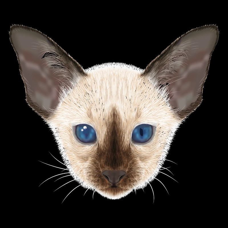Siamkatze 
