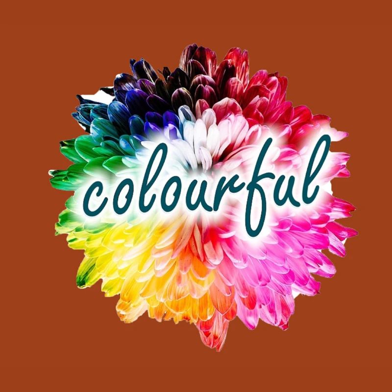 Rainbow Flower Color Explosion