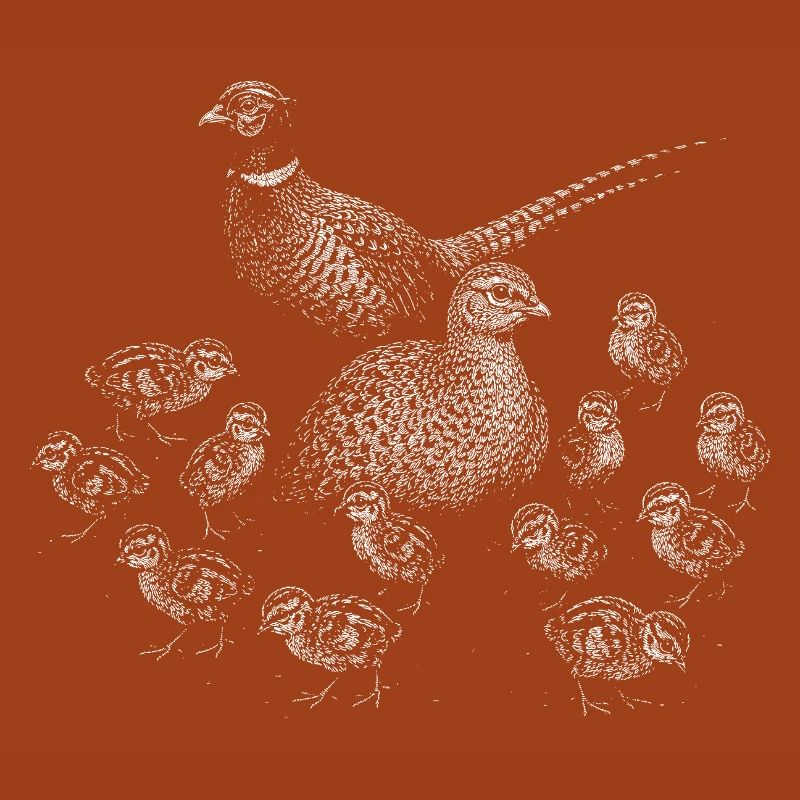 Pheasant