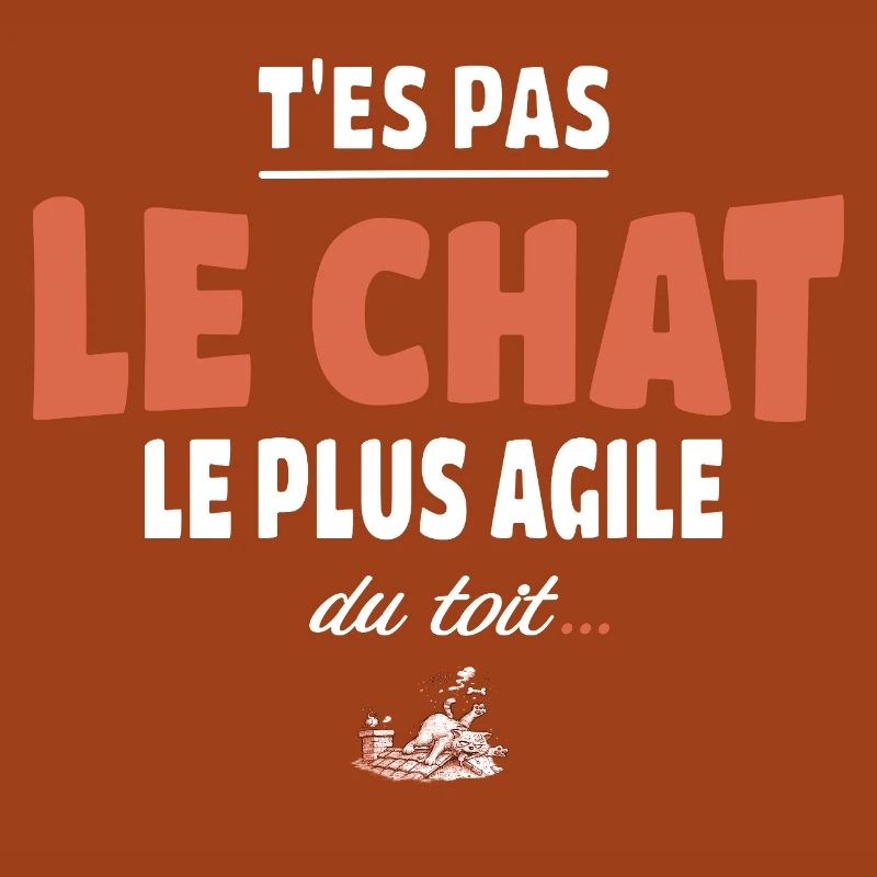 T’es pas le chat le plus agile du toit – Vanne