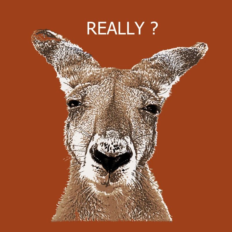 Kangaroo really?